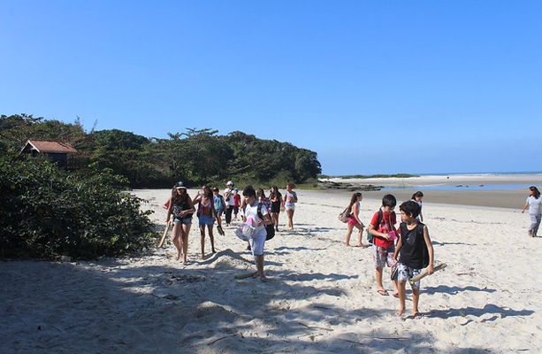 Praia de Itaguaré é um dos últimos locais de Mata Atlântica preservada no Litoral